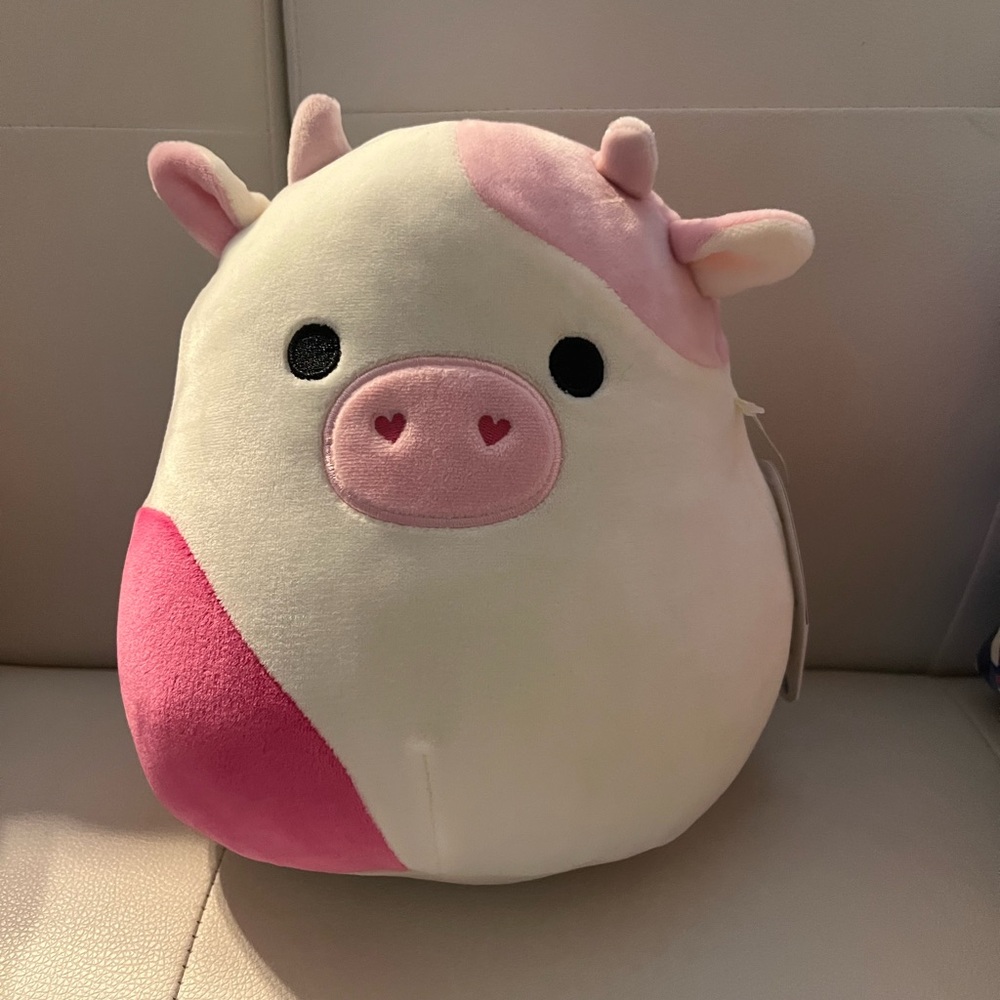Caedyn squishmallow